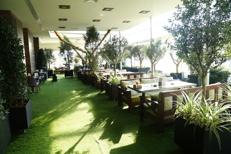 Lime Tree on Sunday 