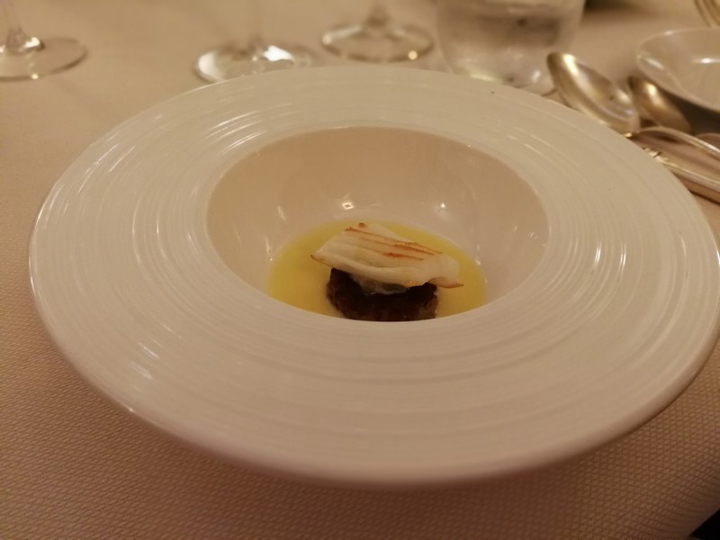 Mazaya Arabia in Cannes
