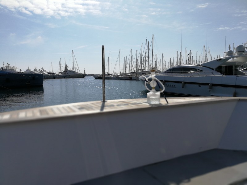 Mazaya Arabia in Cannes