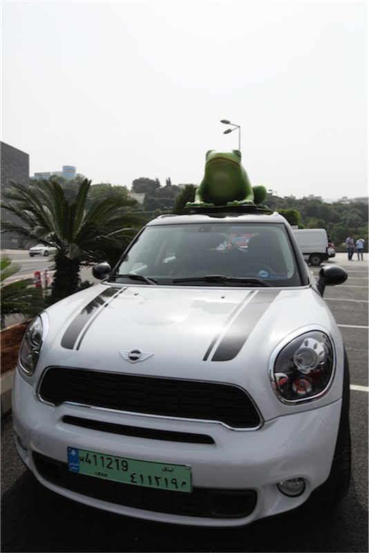 Mini Pop-Up Picnic 2015