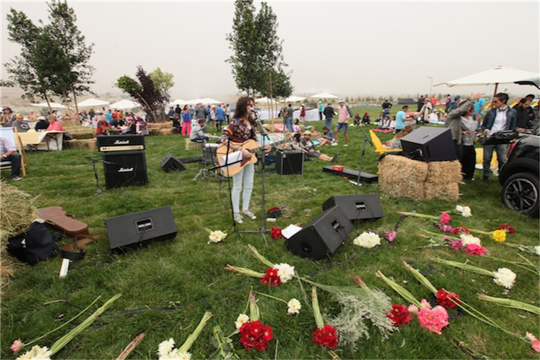 Mini Pop-Up Picnic 2015
