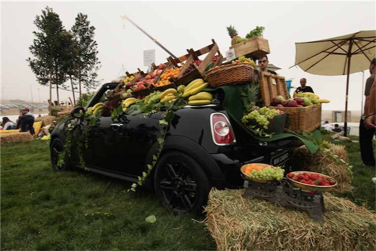 Mini Pop-Up Picnic 2015