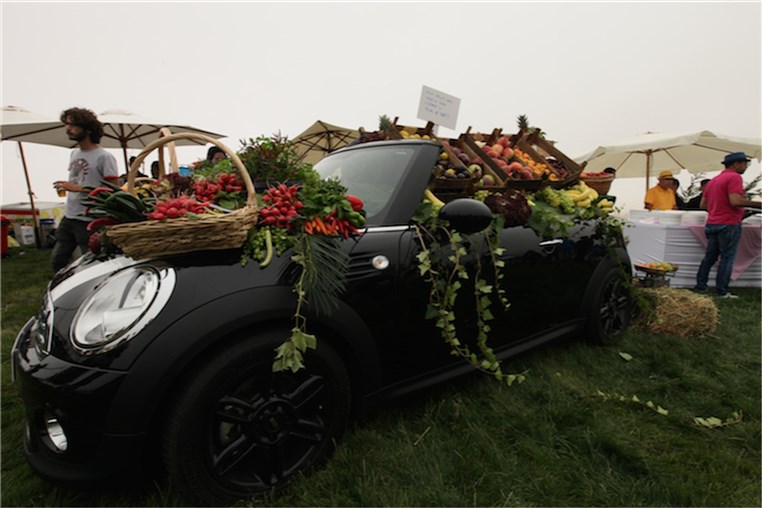 Mini Pop-Up Picnic 2015