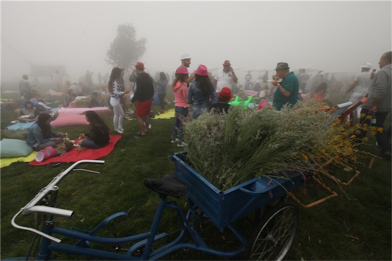 Mini Pop-Up Picnic 2015