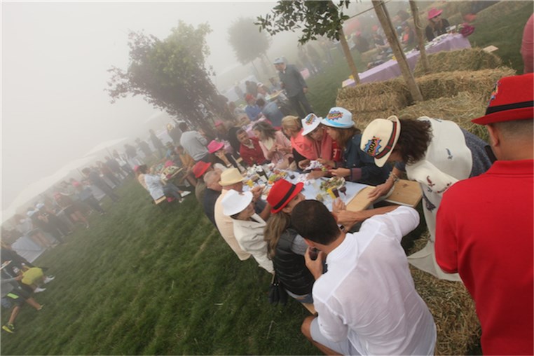 Mini Pop-Up Picnic 2015