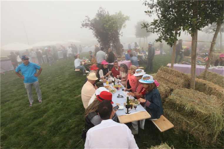 Mini Pop-Up Picnic 2015