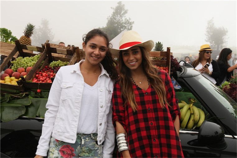 Mini Pop-Up Picnic 2015