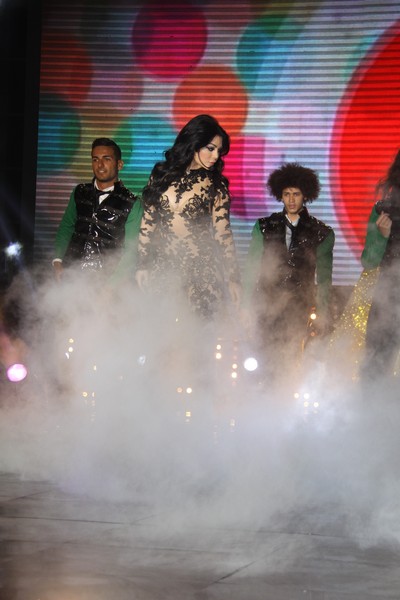 Mr Lebanon 2013
