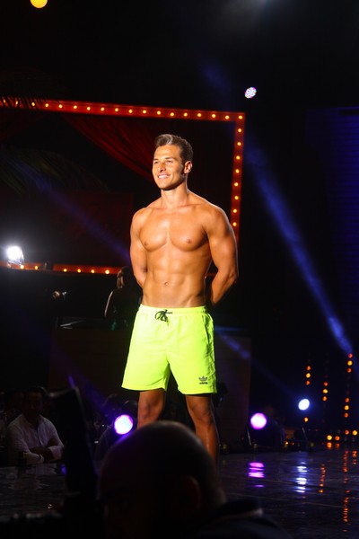 Mr Lebanon 2013