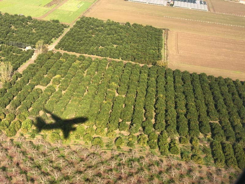 Nakhal organized a special trip to Turkey with Wings of Lebanon
