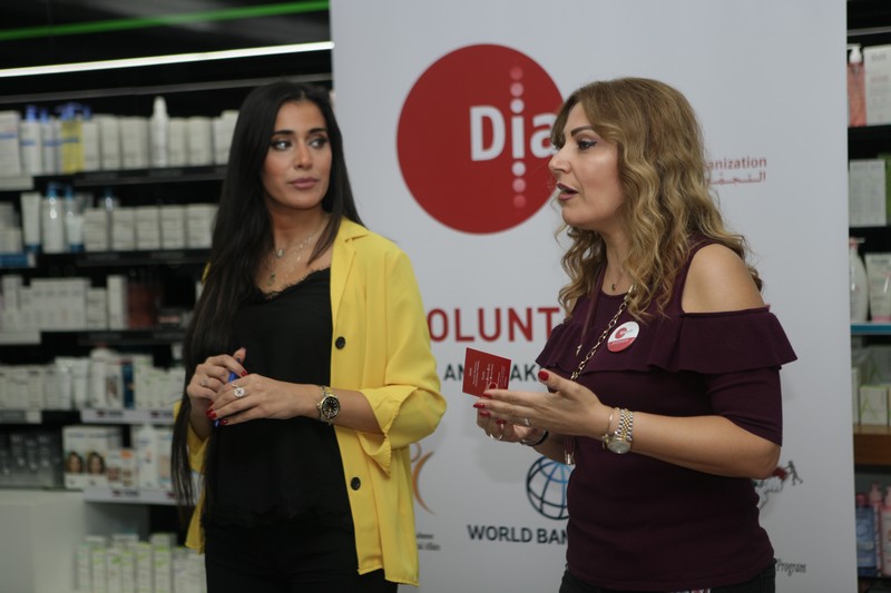 Professional Volunteer Training with DiaLeb & Pharmapoint