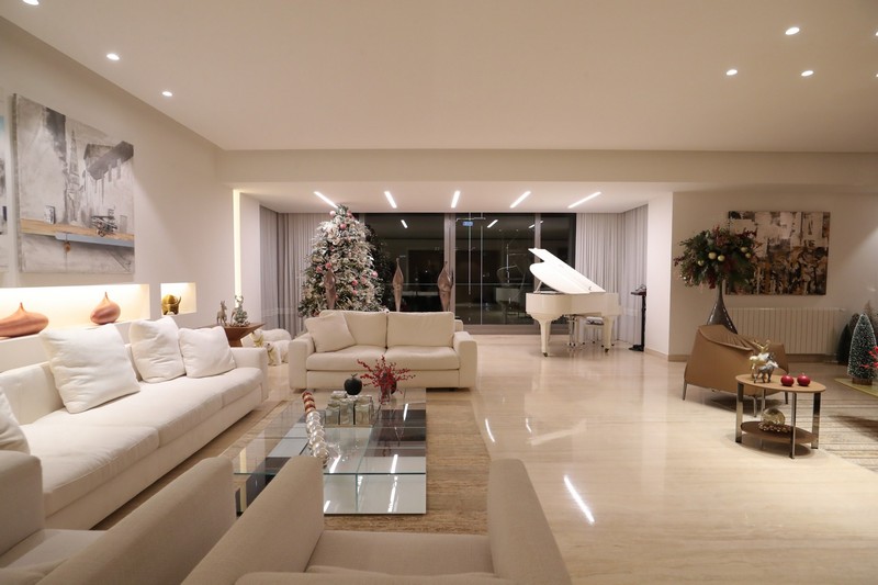 A  Christmas Gathering at Place Pasteur Project