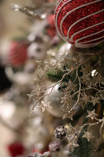 A  Christmas Gathering at Place Pasteur Project
