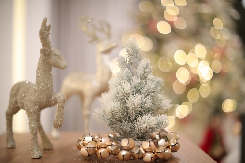 A  Christmas Gathering at Place Pasteur Project