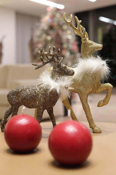 A  Christmas Gathering at Place Pasteur Project