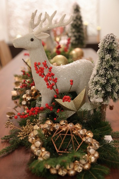 A  Christmas Gathering at Place Pasteur Project