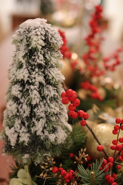 A  Christmas Gathering at Place Pasteur Project
