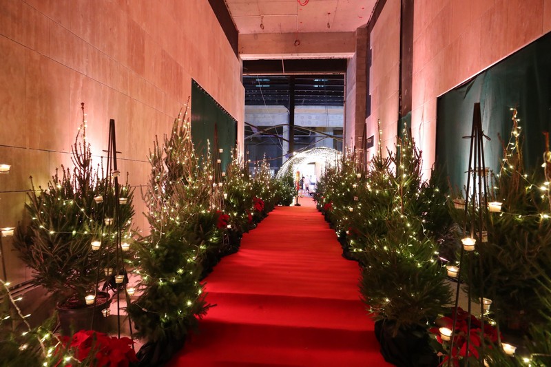 A  Christmas Gathering at Place Pasteur Project