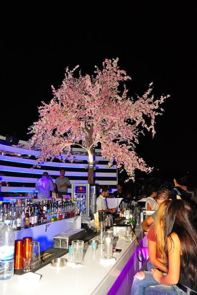 Publicity on Saturday Night