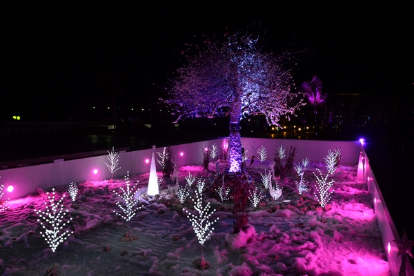 Publicity Christmas Night