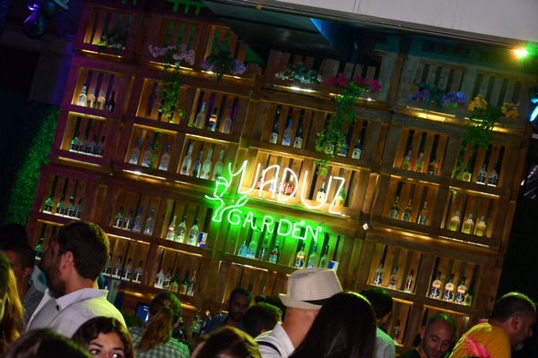 Publicity on Saturday Night