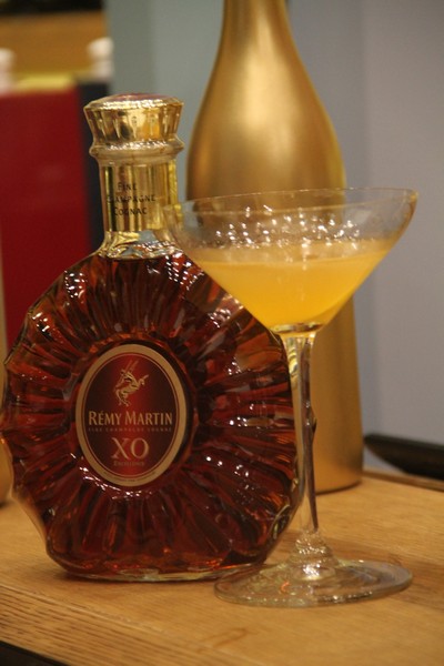Launching of Remy Martin Louis XIII