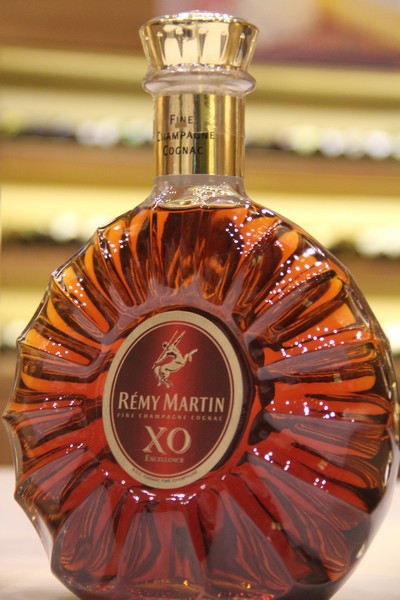 Launching of Remy Martin Louis XIII