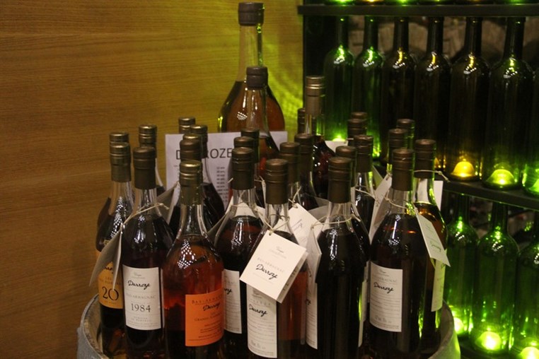 Launching of Remy Martin Louis XIII