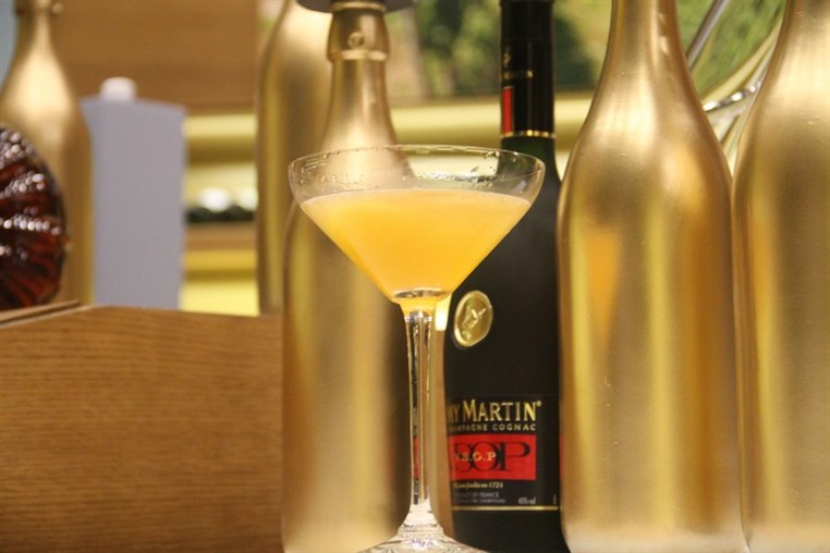 Launching of Remy Martin Louis XIII