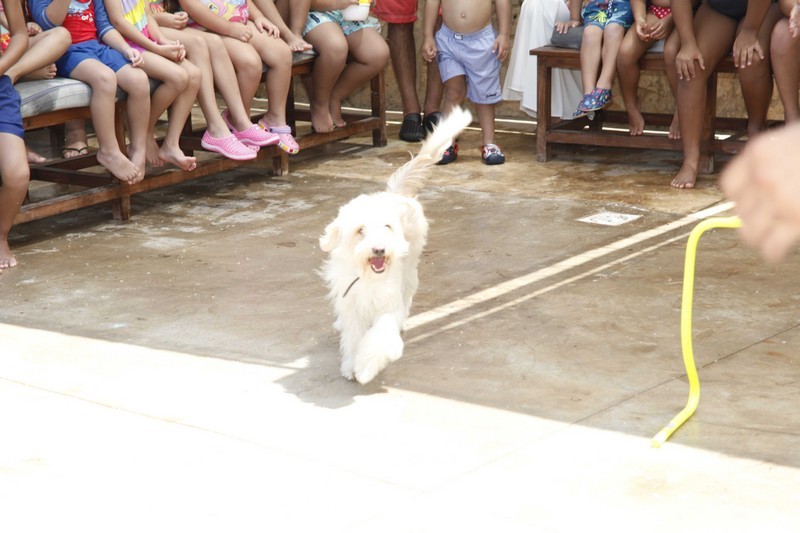 Family & Kids Pool Event