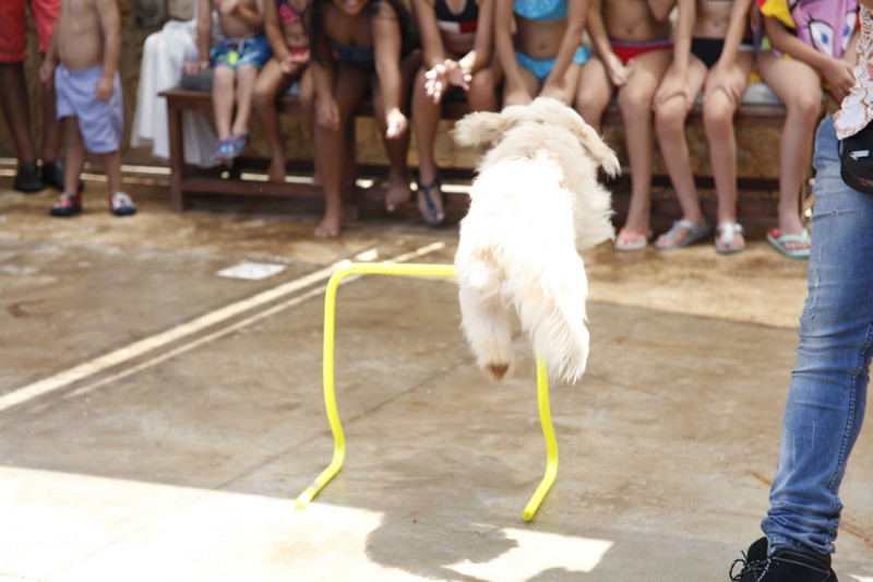 Family & Kids Pool Event