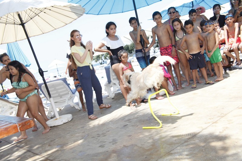 Family & Kids Pool Event