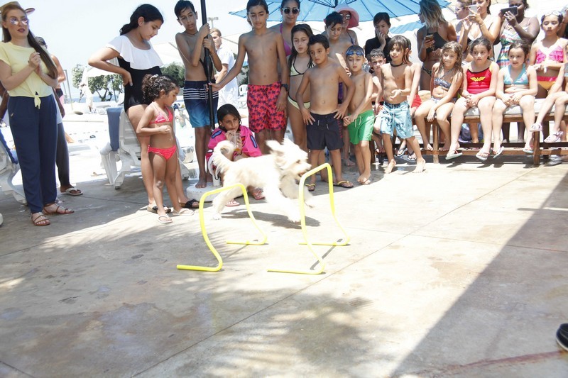 Family & Kids Pool Event