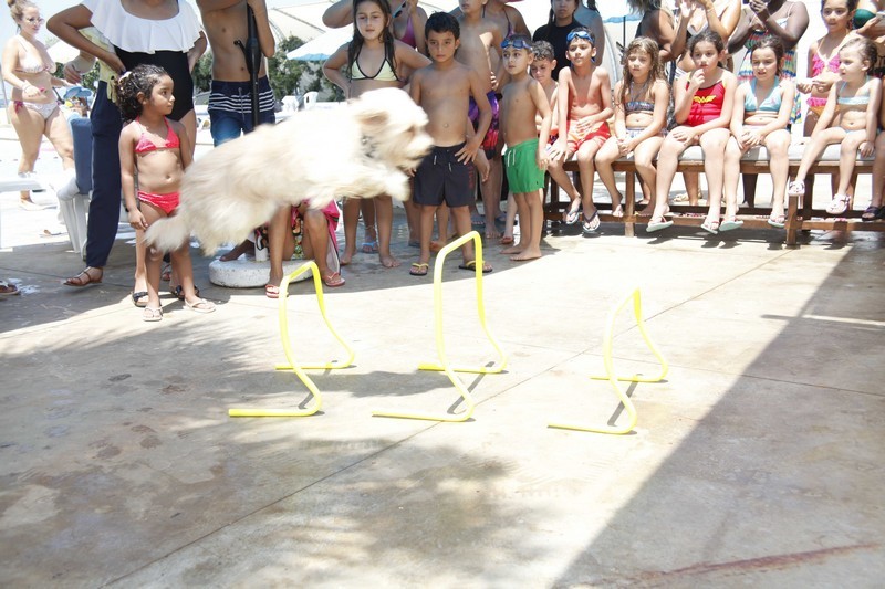 Family & Kids Pool Event
