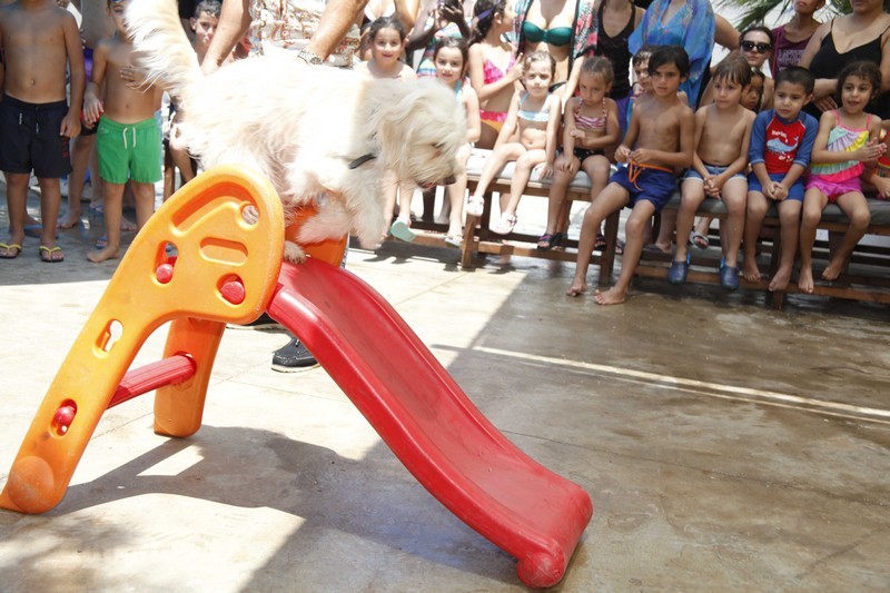 Family & Kids Pool Event