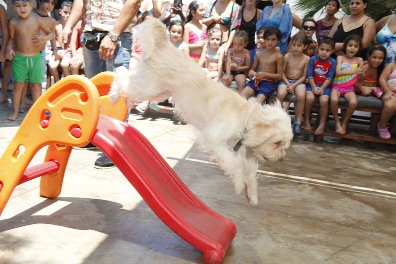 Family & Kids Pool Event