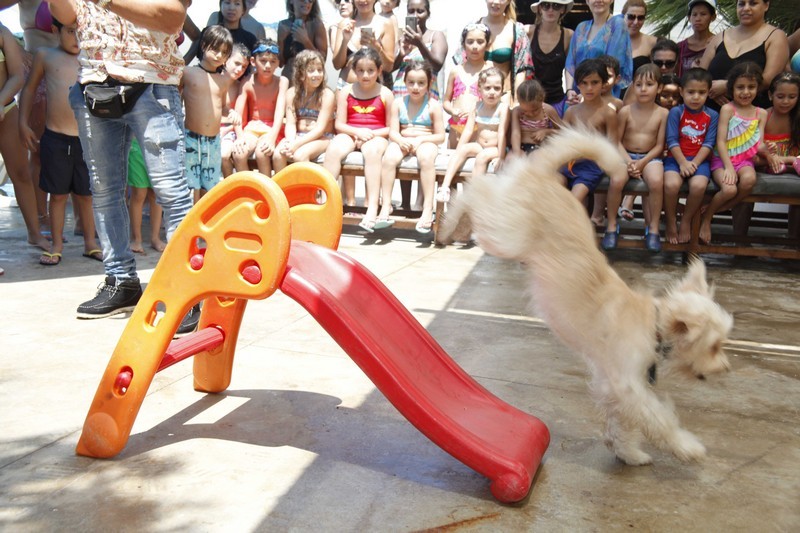Family & Kids Pool Event