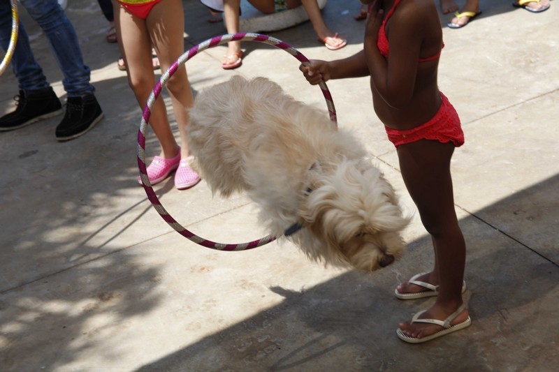 Family & Kids Pool Event