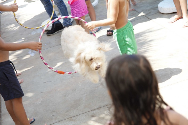 Family & Kids Pool Event