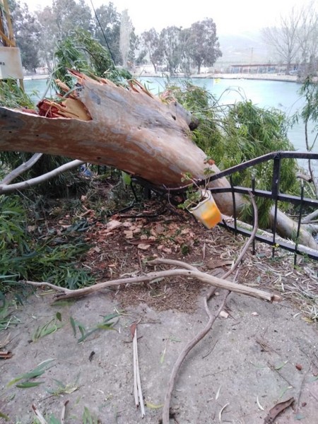 Storm causes heavy damages in Lebanon
