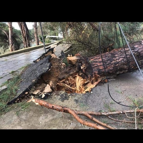 Storm causes heavy damages in Lebanon