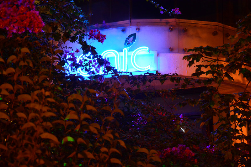 Tonic on Saturday Night