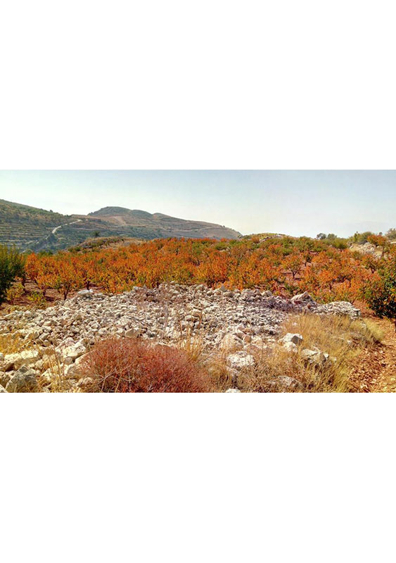 Qaa El-rim To Wadi El Arayesh Hike -zahle