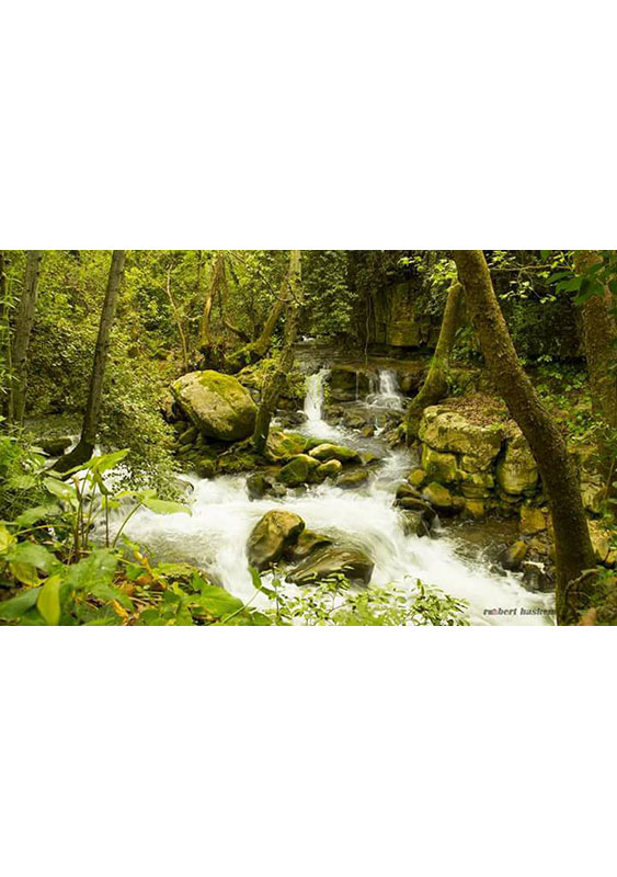 Mokhtara To Haret Jandal In Autumn