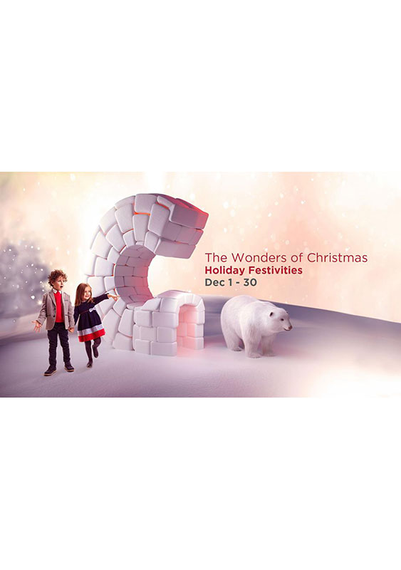 The Wonders of Christmas Shows