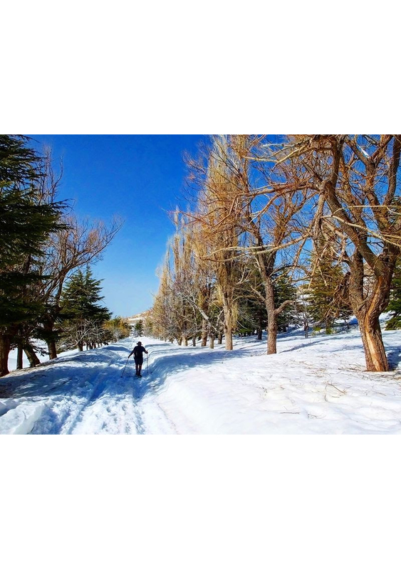 Snowshoeing at Bakish