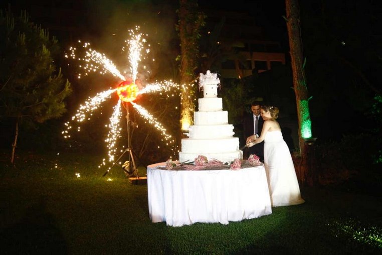 George & Elena Wedding