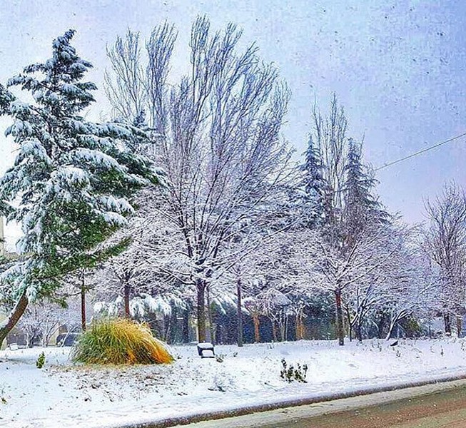 Zahle