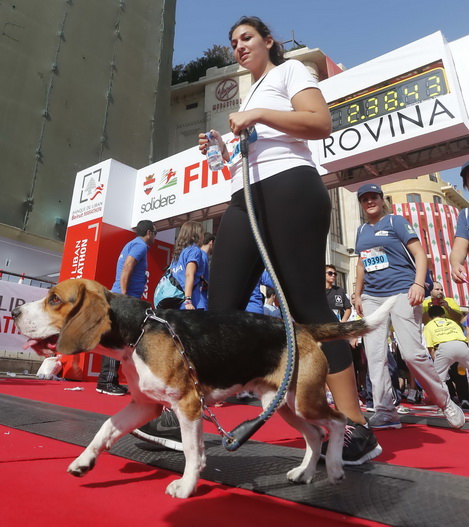Beirut Marathon 2013