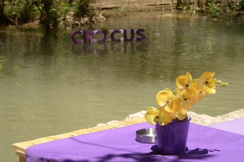 Crocus Sous Le Pont on Sunday